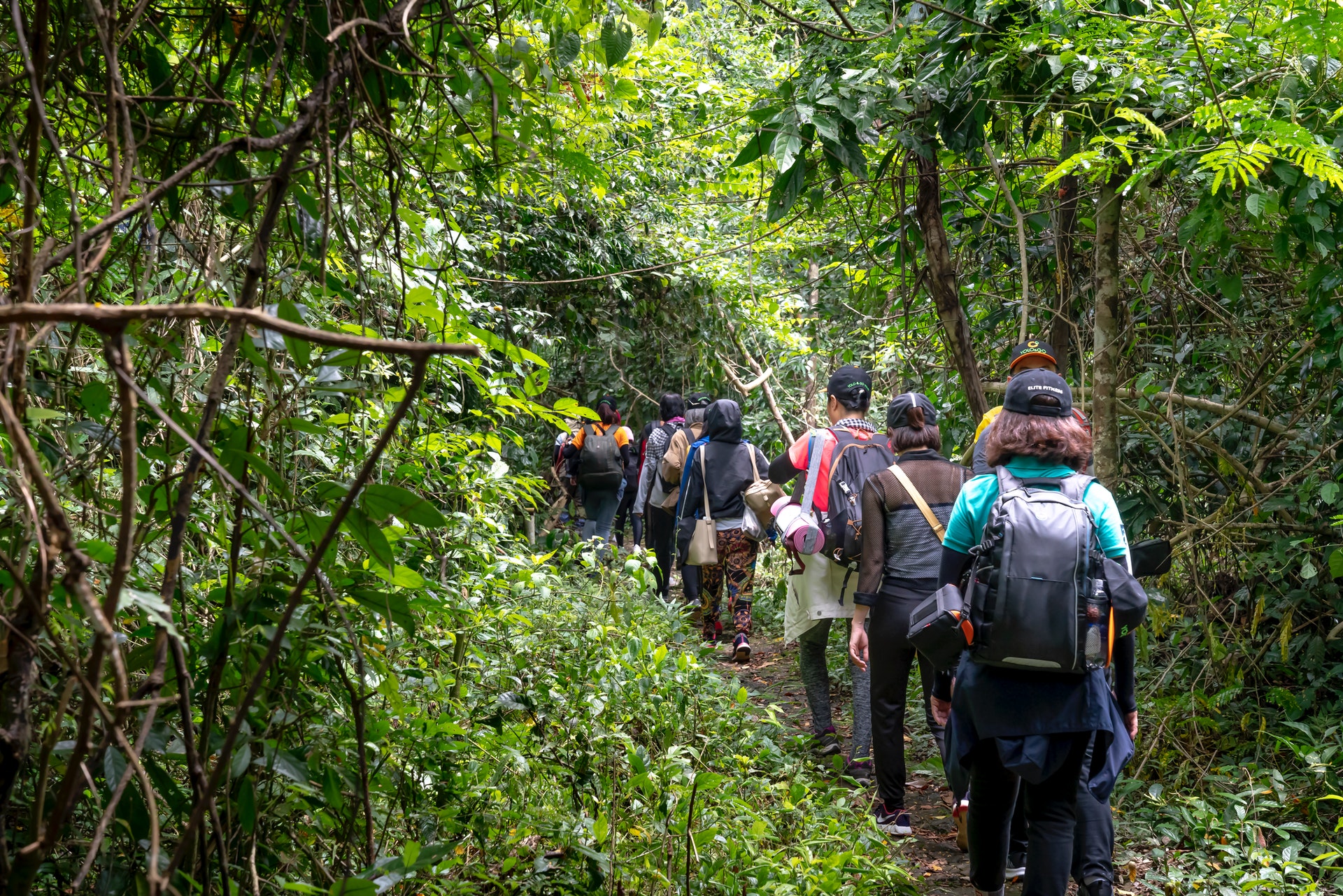 Forest Tour image